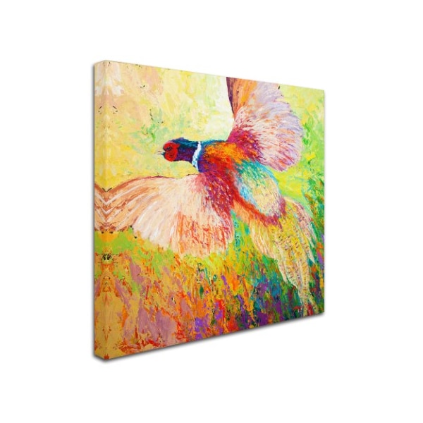 Marion Rose 'Pheasant 1' Canvas Art,35x35